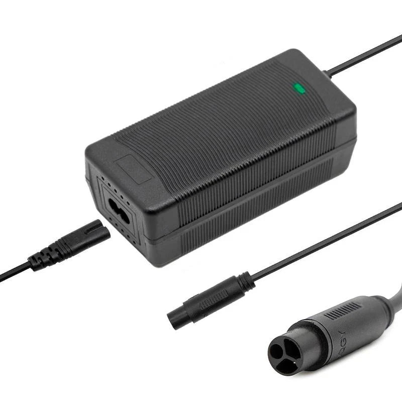 CARGADOR TEVERUN 48V