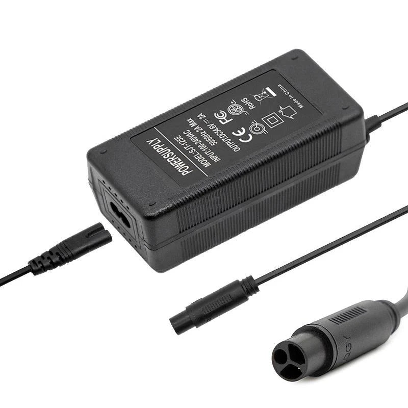 CARGADOR TEVERUN 48V