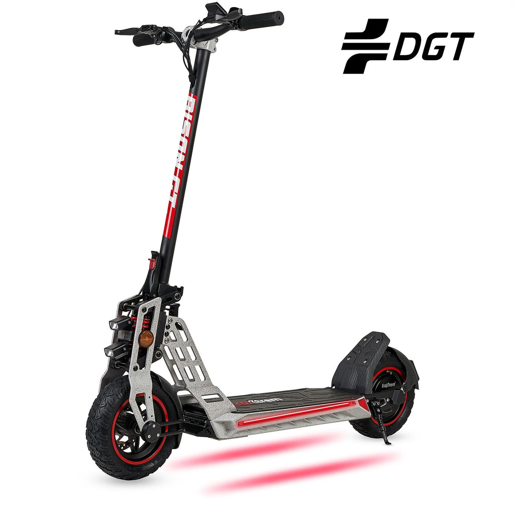 ECOEXTREM BISON GT (1 engine)